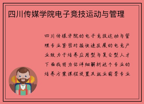 四川传媒学院电子竞技运动与管理